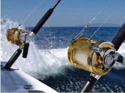 Puerto Rico Fishing at its finest!